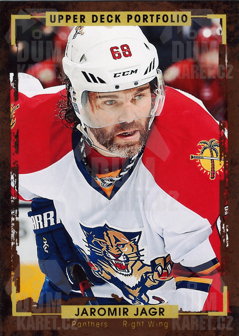 Jaromír Jágr - 2015/16 UD Portfolio Hockey - #165