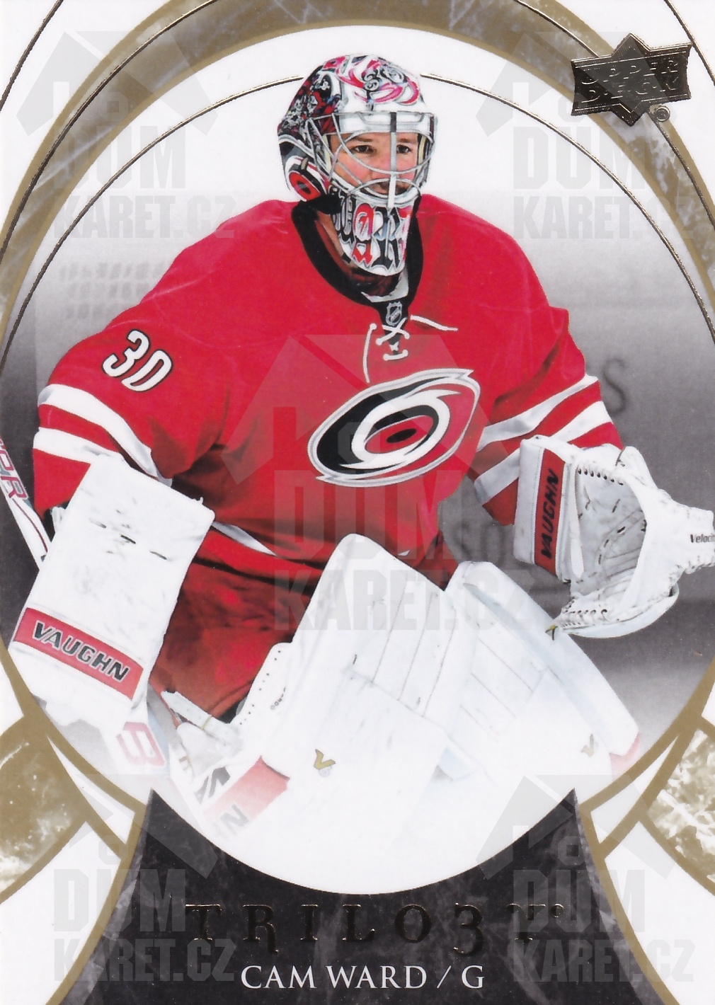 Cam Ward - 2015/16 Trilogy Hockey - #17