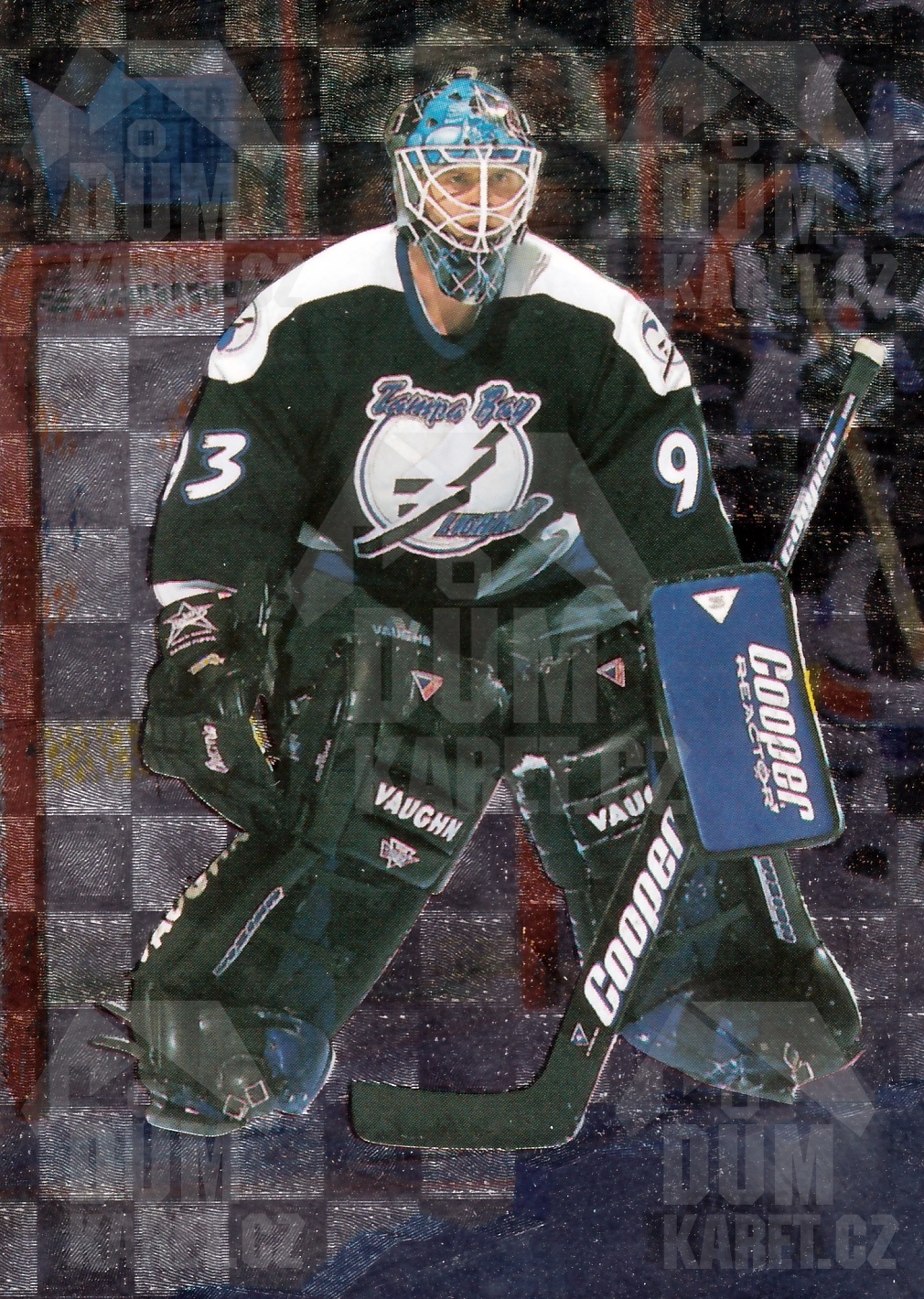 Daren Puppa - 1995/96 Fleer Metal - #139