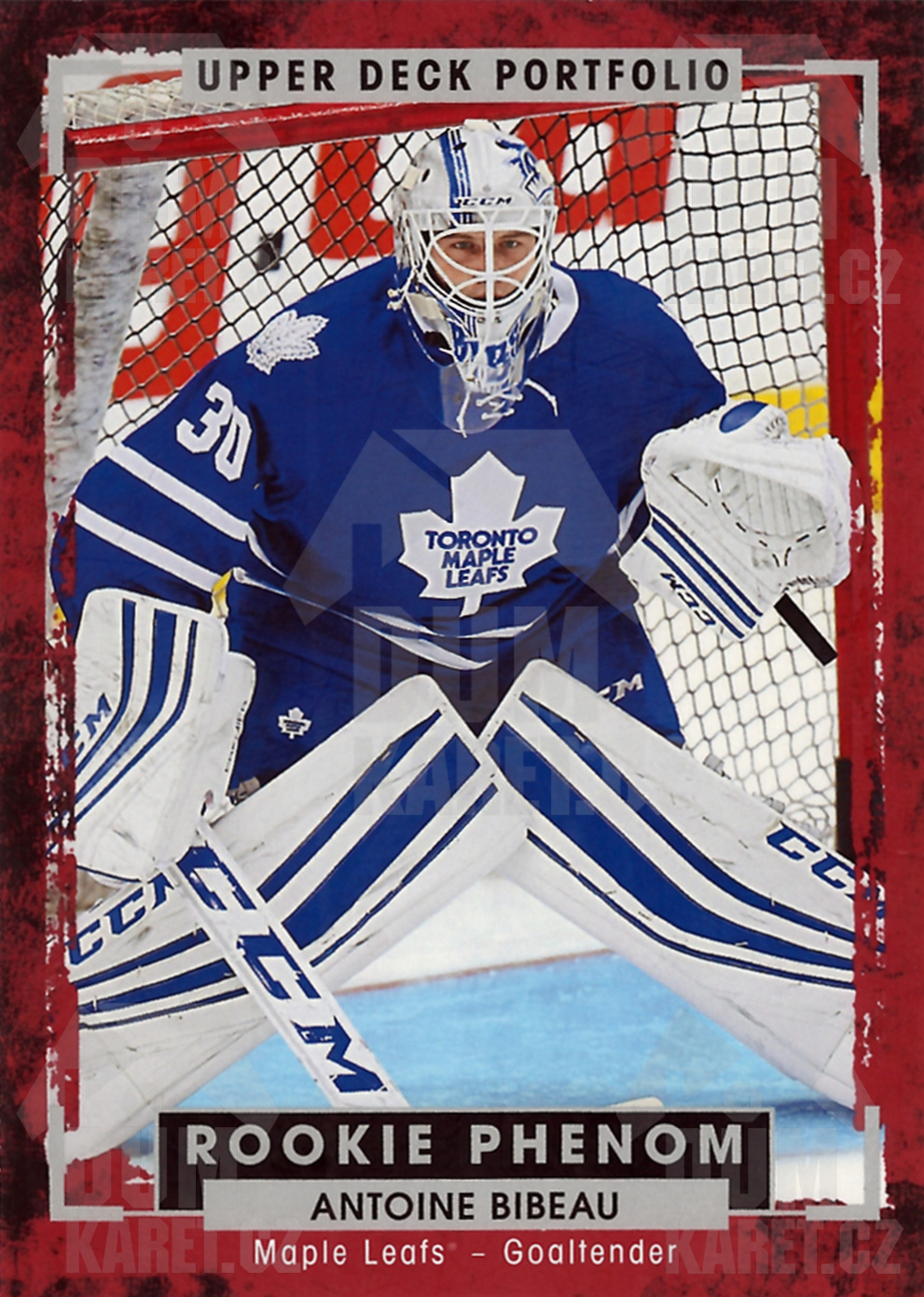 Antoine Bibeau - 2015/16 UD Portfolio Hockey - Rookie Phenom - #243
