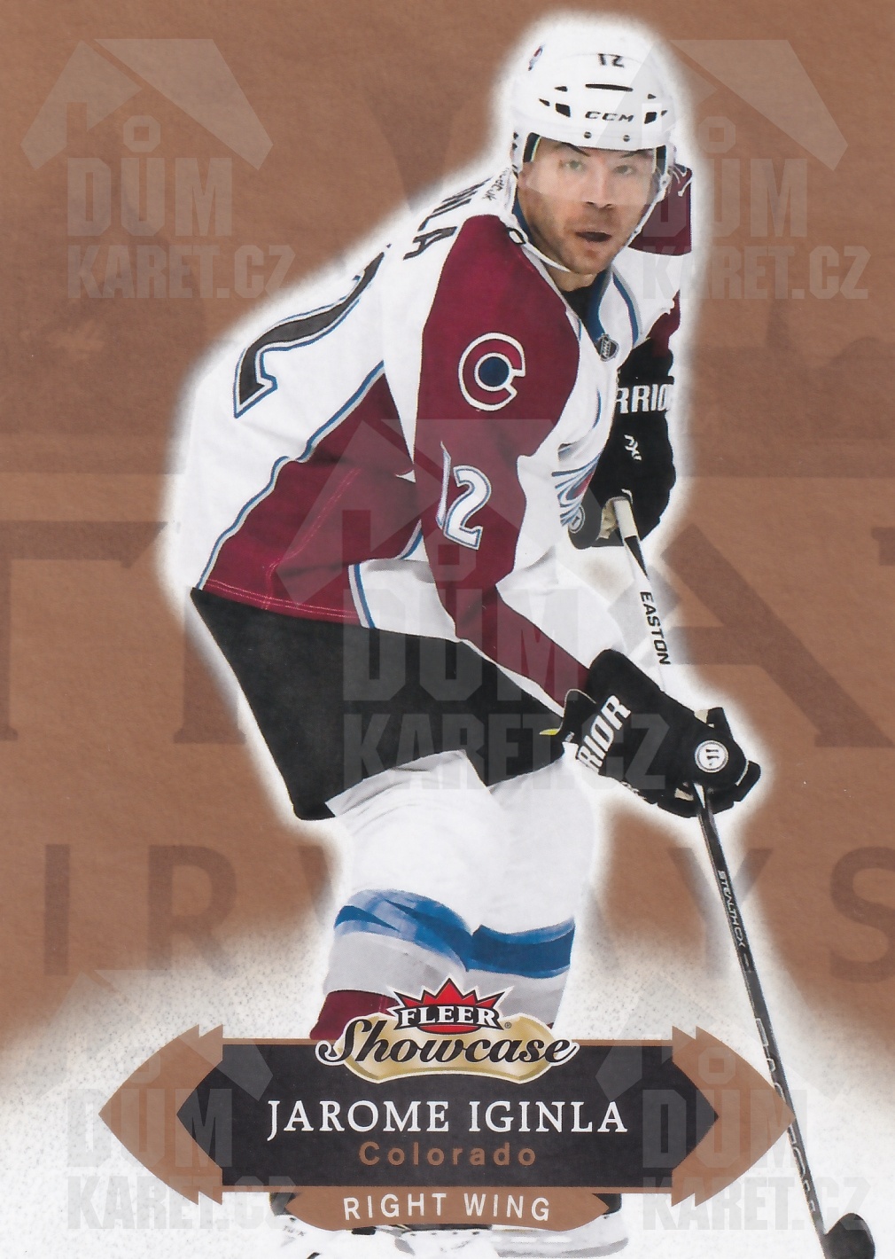 Jarome Iginla - 2016/17 Fleer Showcase Hockey - #46