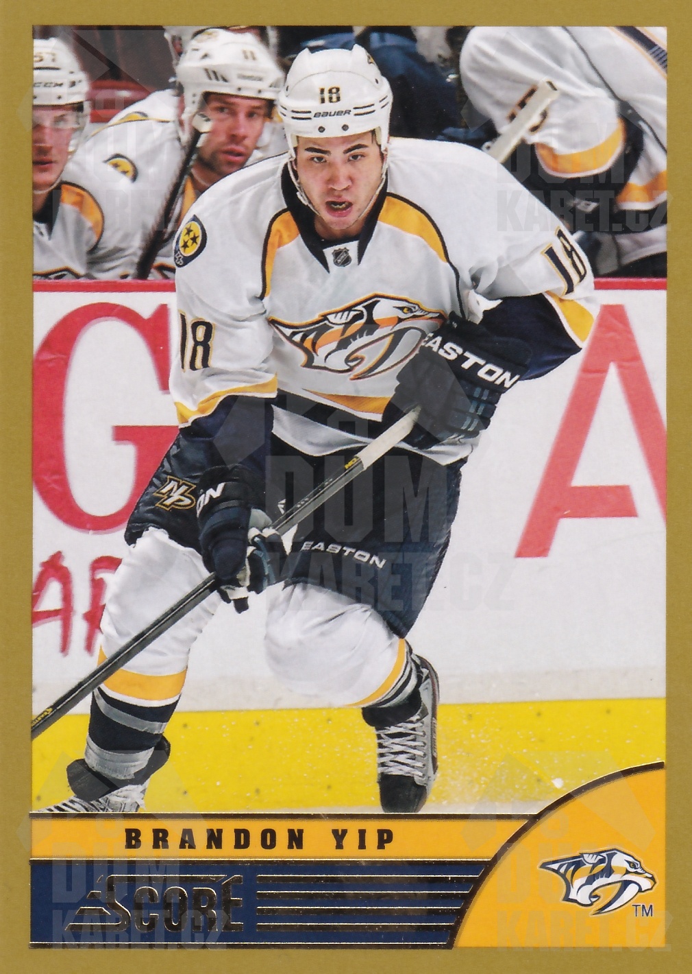 Brandon Yip - 2013/14 Panini Score Hockey - Gold - #285
