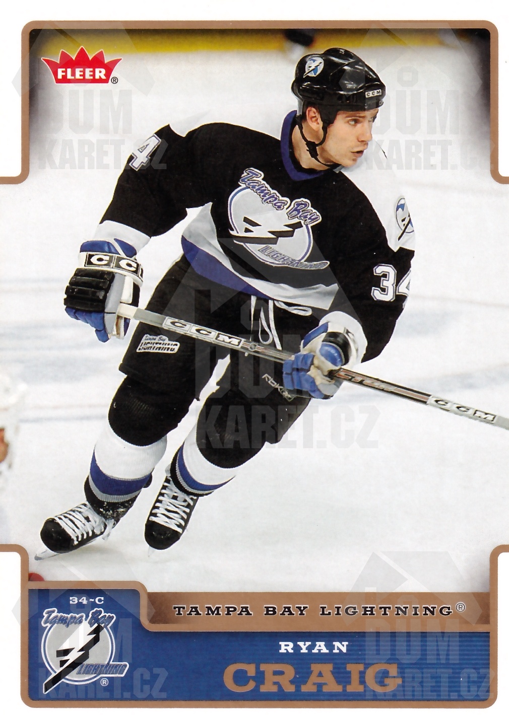 Ryan Craig - 2006/07 NHL Fleer Hockey - #177