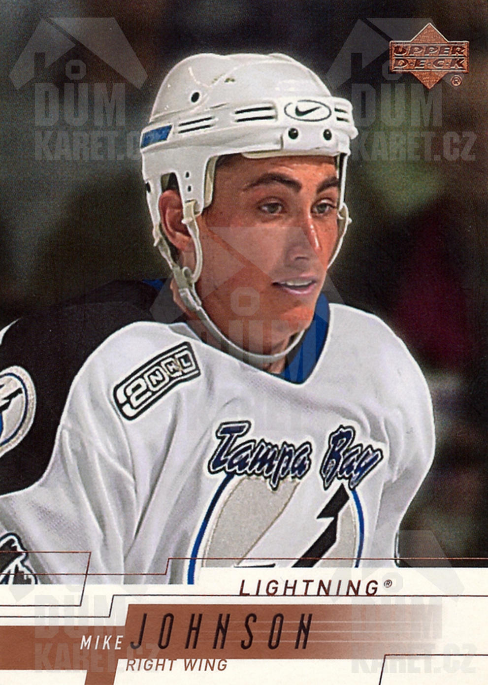 Mike Johnson - 2000/01 Upper Deck Hockey - #156
