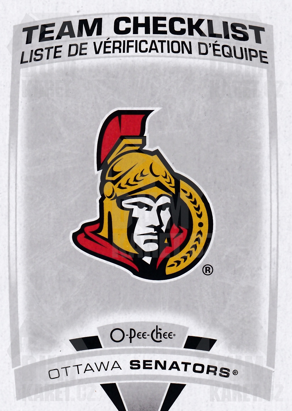 Team Checklist - 2019/20 O-Pee-Chee Hockey - #571