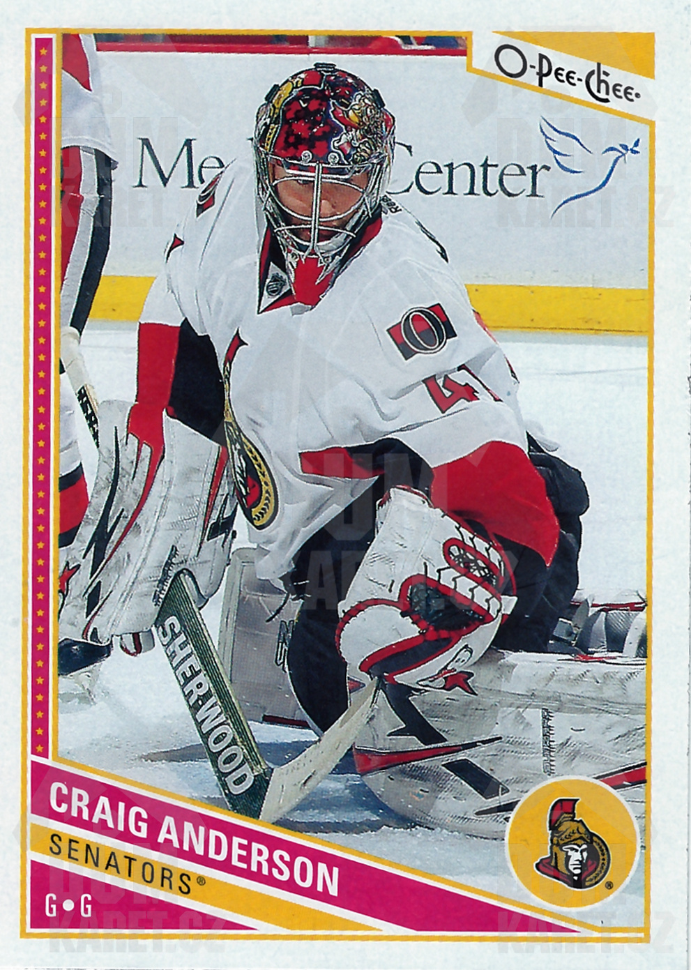 Craig Anderson - 2013/14 O-Pee-Chee Hockey - #201