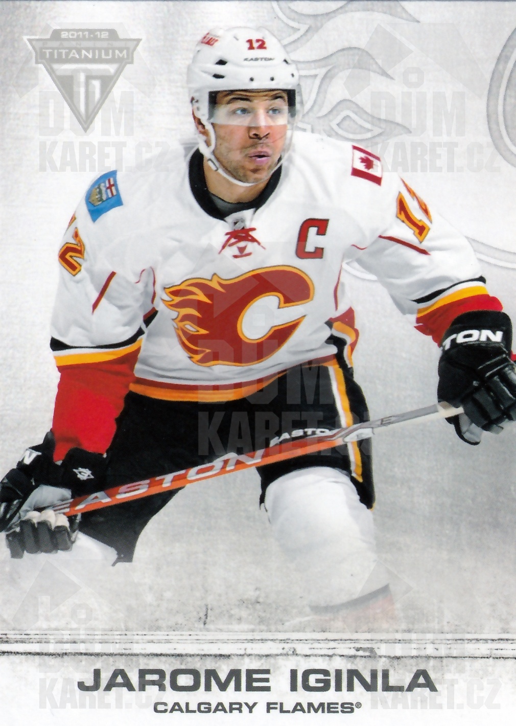 Jarome Iginla - 2011/12 Panini Titanium - #60