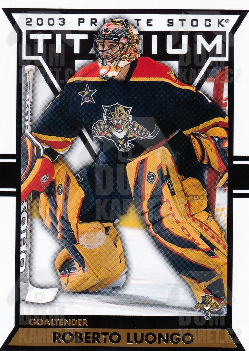 Roberto Luongo - 2002/03 Private Stock Titanium - #47