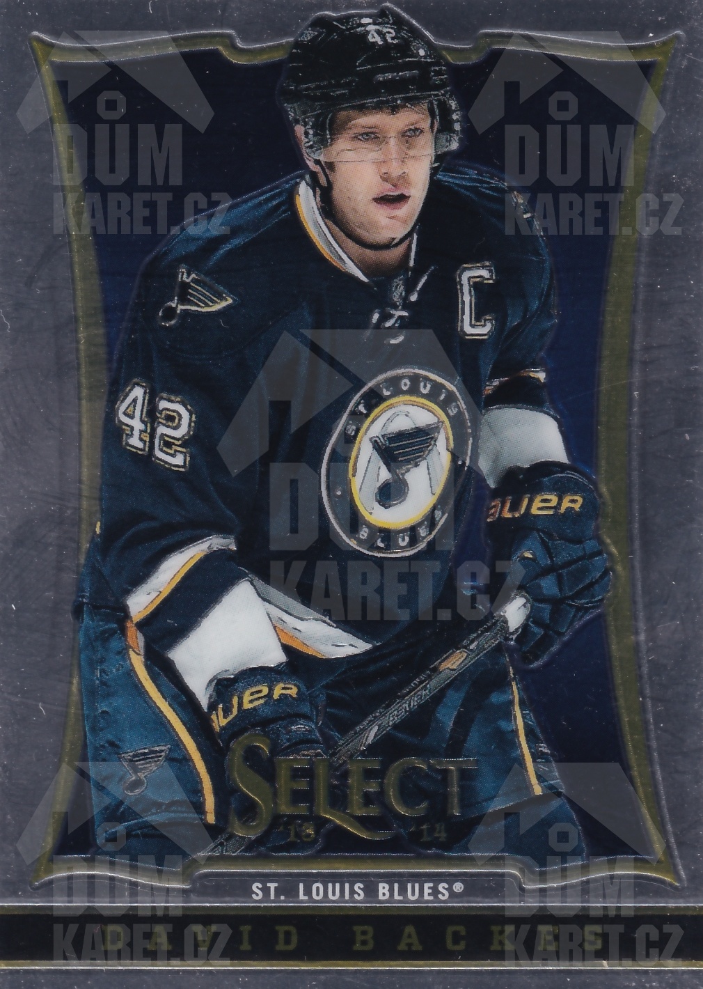 David Backes - 2013/14 Panini Select Hockey - #28