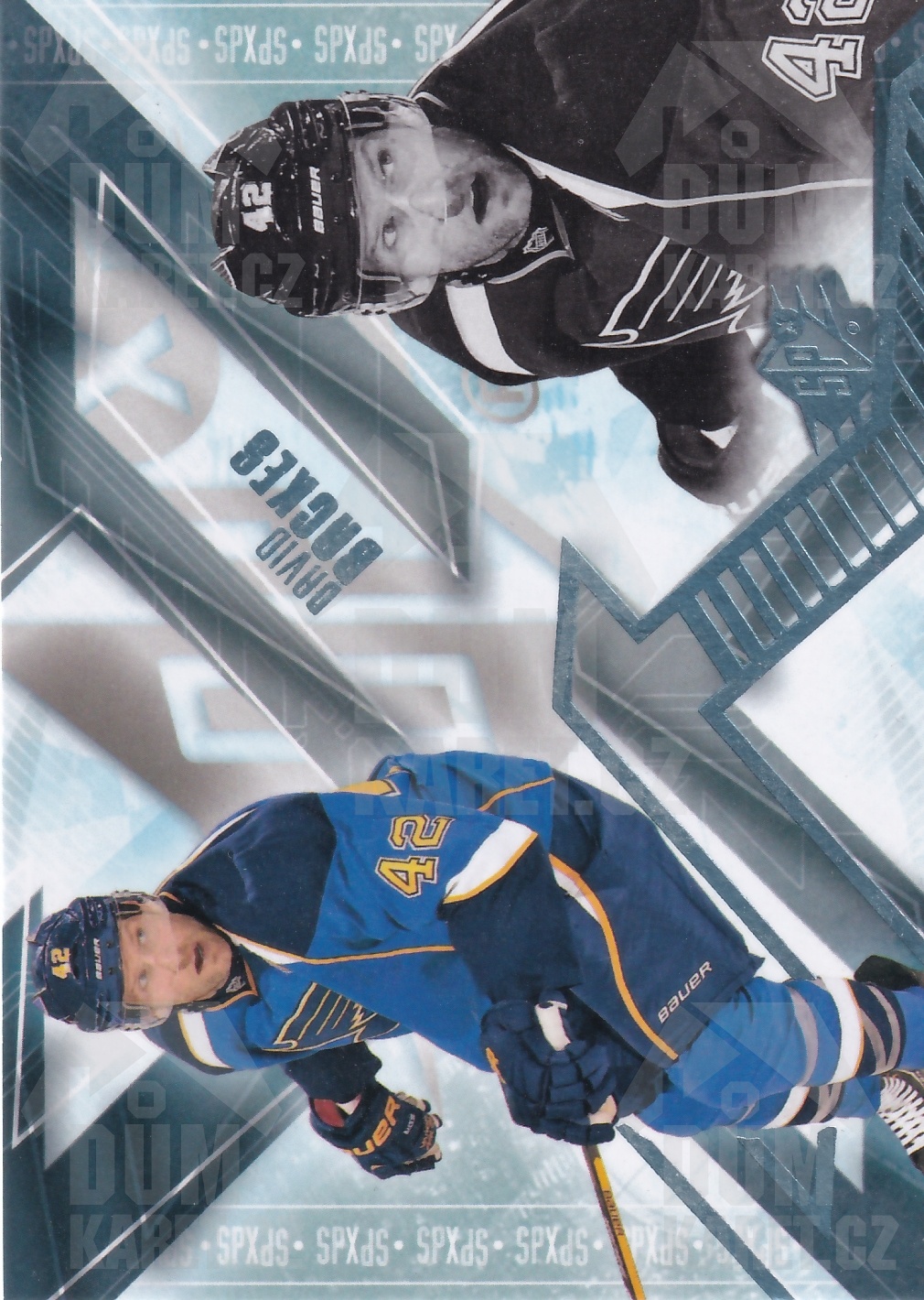 David Backes - 2013/14 NHL SPX - #73