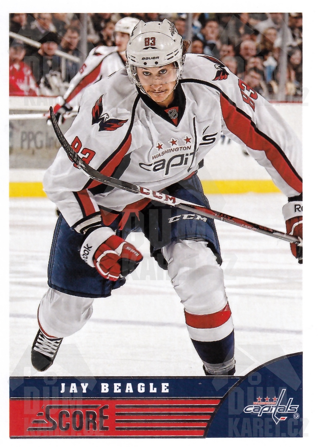 Jay Beagle - 2013/14 Panini Score Hockey - #527