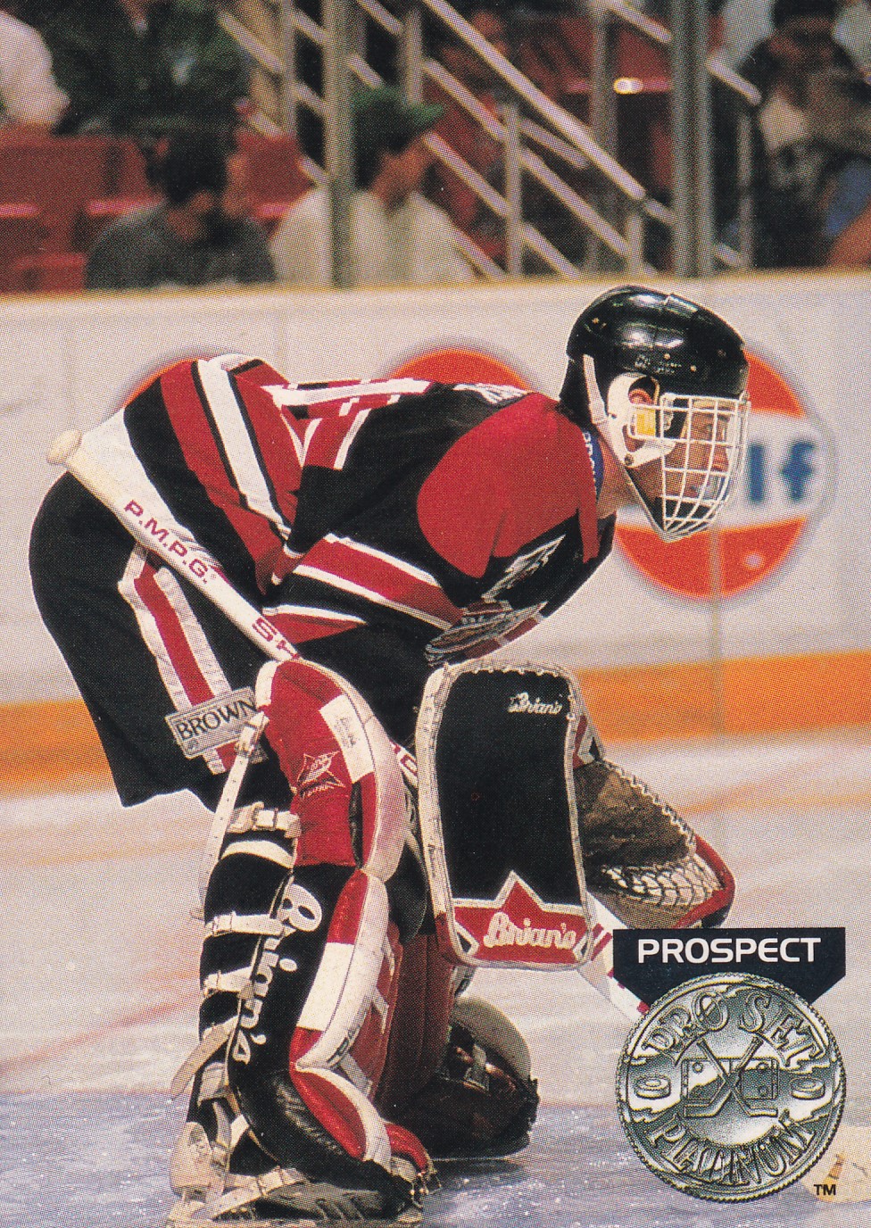 Dominik Hašek - 1991/92 Pro Set - Platinum Prospect - #252