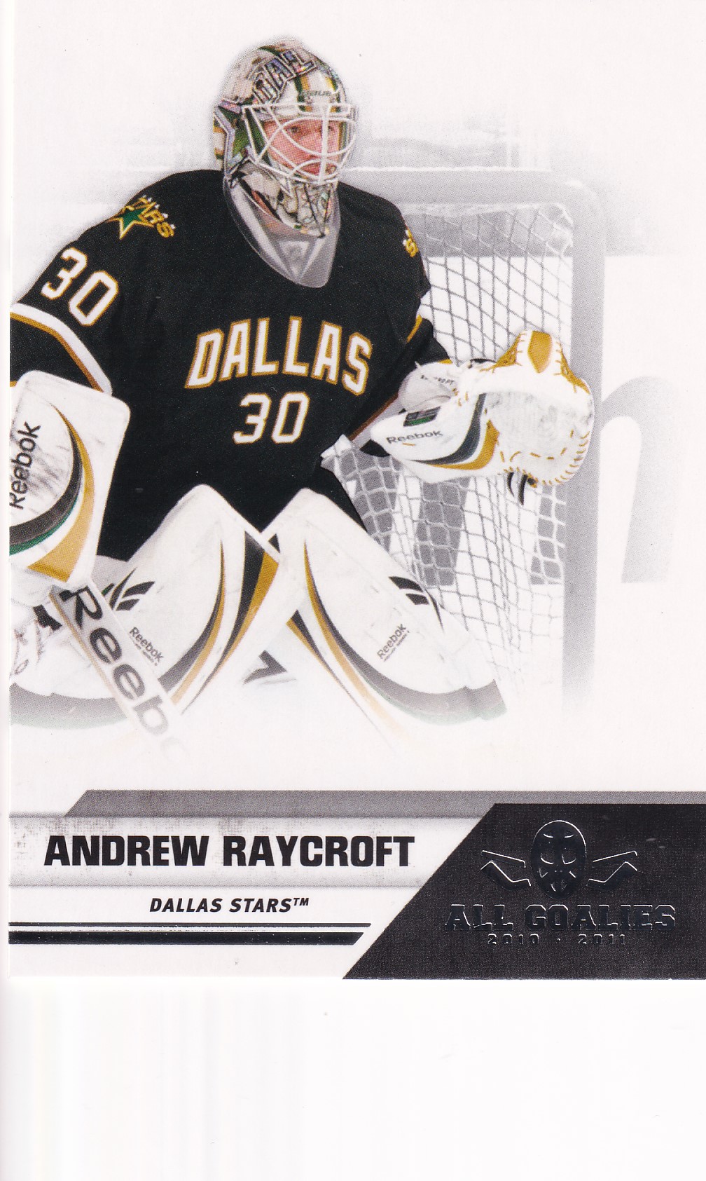 Andrew Raycroft - 2010/11 Panini All Goalies - #24