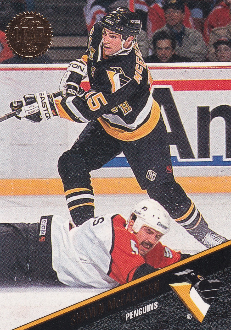 Shawn McEachern - 1993/94 The Leaf Set - #217