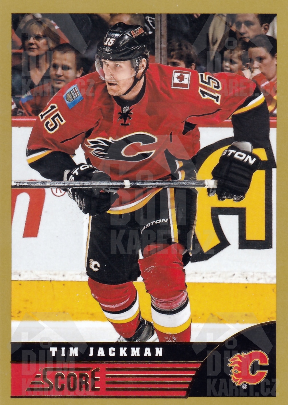Tim Jackman - 2013/14 Panini Score Hockey - Gold - #73