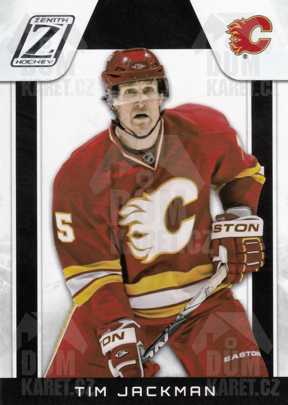 Tim Jackman - 2010/11 Panini Zenith Hockey - #34