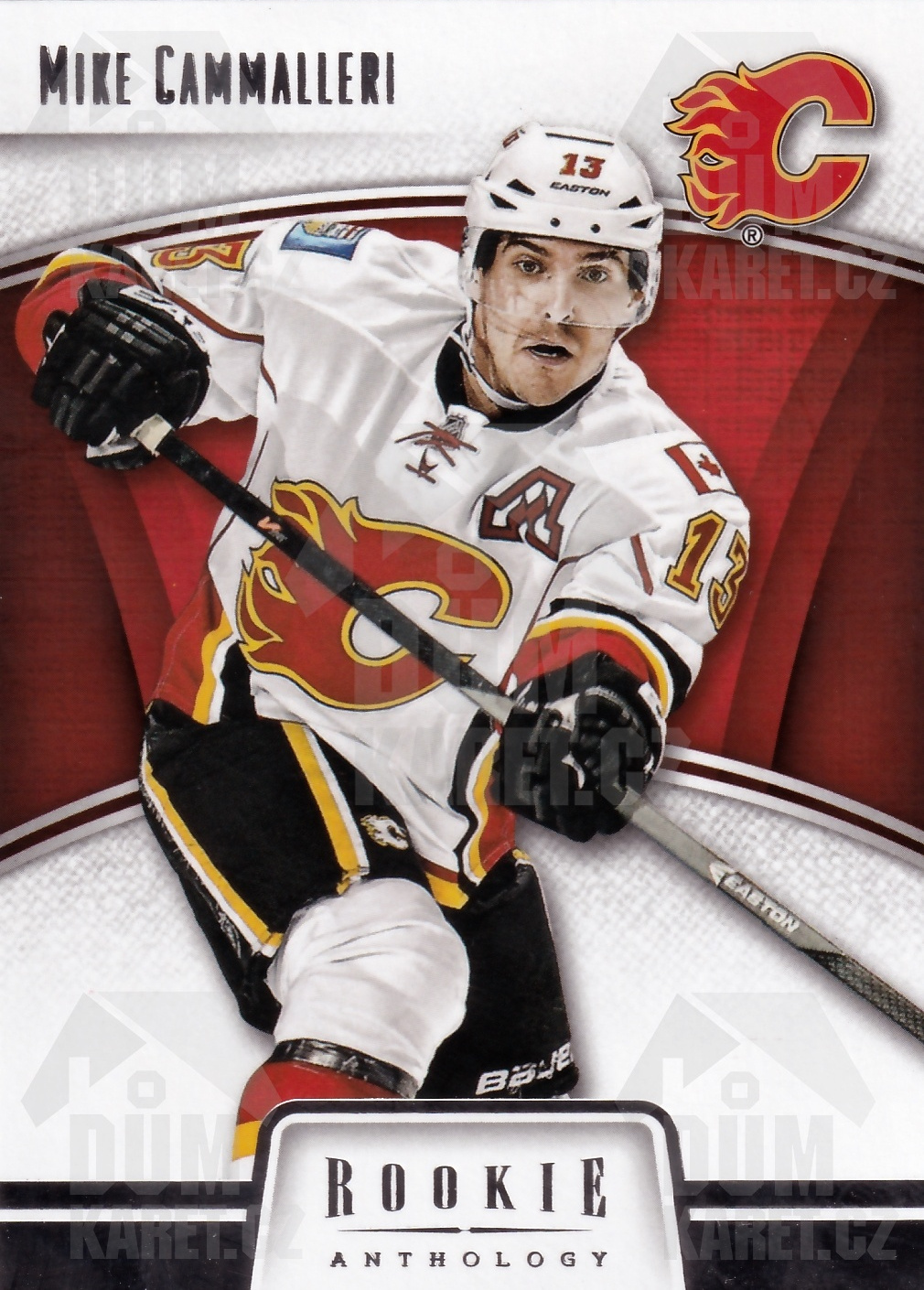 Mike Cammalleri - 2013/14 Rookie Anthology Hockey - #12