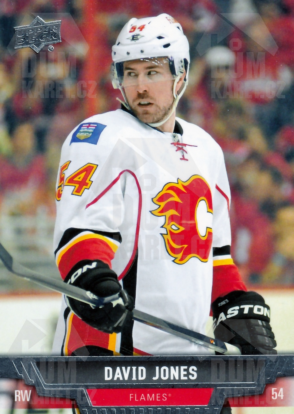 David Jones - 2013/14 UD Series II. Hockey - #279