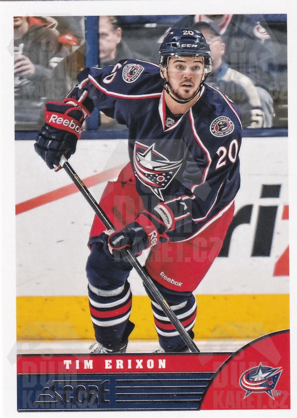 Tim Erixon - 2013/14 Panini Score Hockey - #140